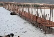 സംസ്ഥാന സർക്കാരിന്റെ വിശദീകരണം തേടി ഹൈക്കോടതി, തിരുനാവായ മഹാമാഘ മഹോത്സവത്തിനുള്ള താൽക്കാലിക പാലം നിർമ്മാണത്തിനുള്ള സ്റ്റോപ്പ് മെമ്മോയിൽ നിലപാടെന്ത്?